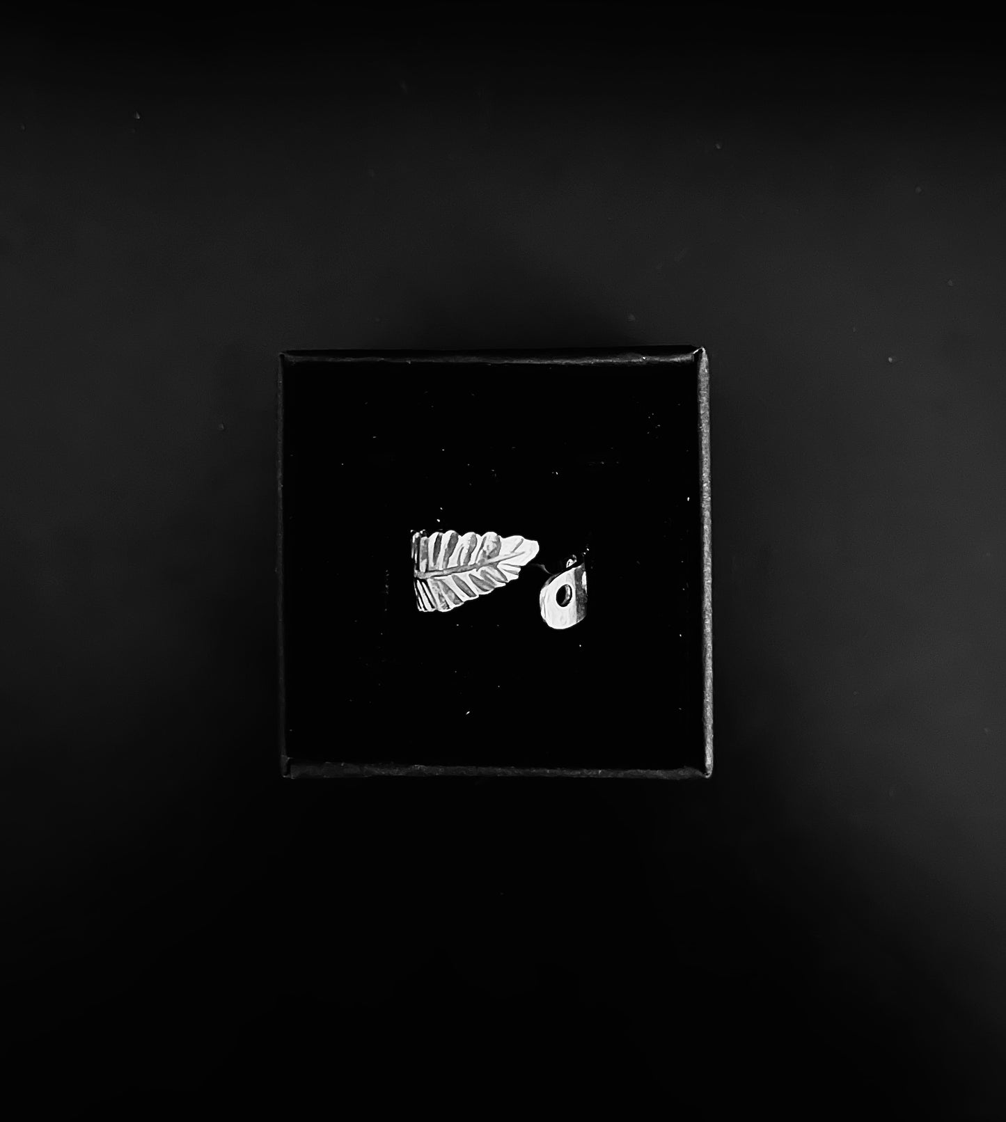 Punctured Feather