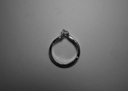 Clawed Stone Sapphire